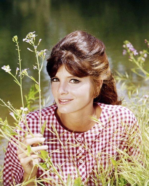 The Captivating Life of Katharine Ross: A Hollywood Legend