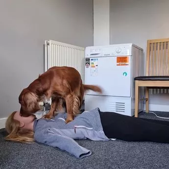 Woman Teaches Her Cocker Spaniel Life-Saving CPR