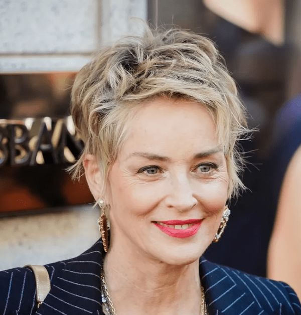 Sharon Stone at 65