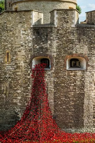 Woman Covers House in 1,000 Handmade Poppies to Honor Remembrance Day