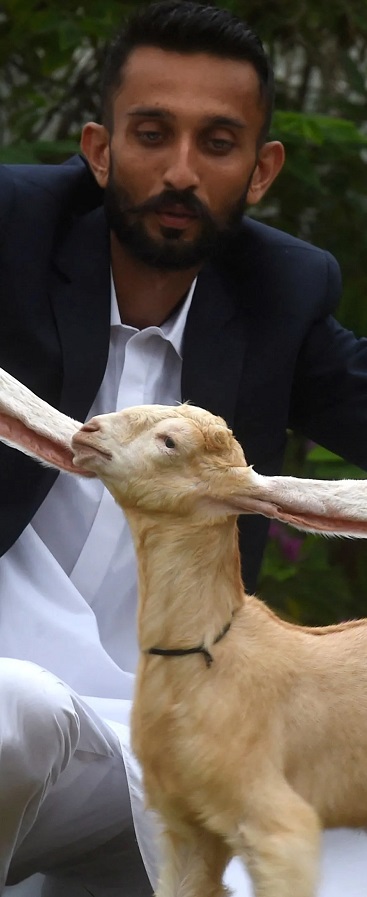 Simba, the World’s Most Unique Kid Goat