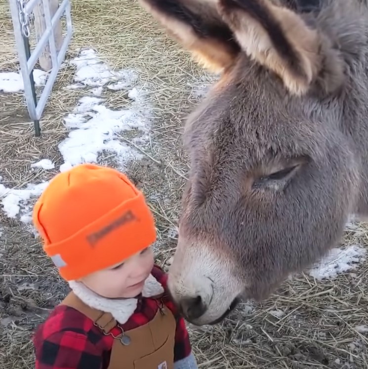 A Heartwarming Tale of Friendship: Gunnar and Snickers