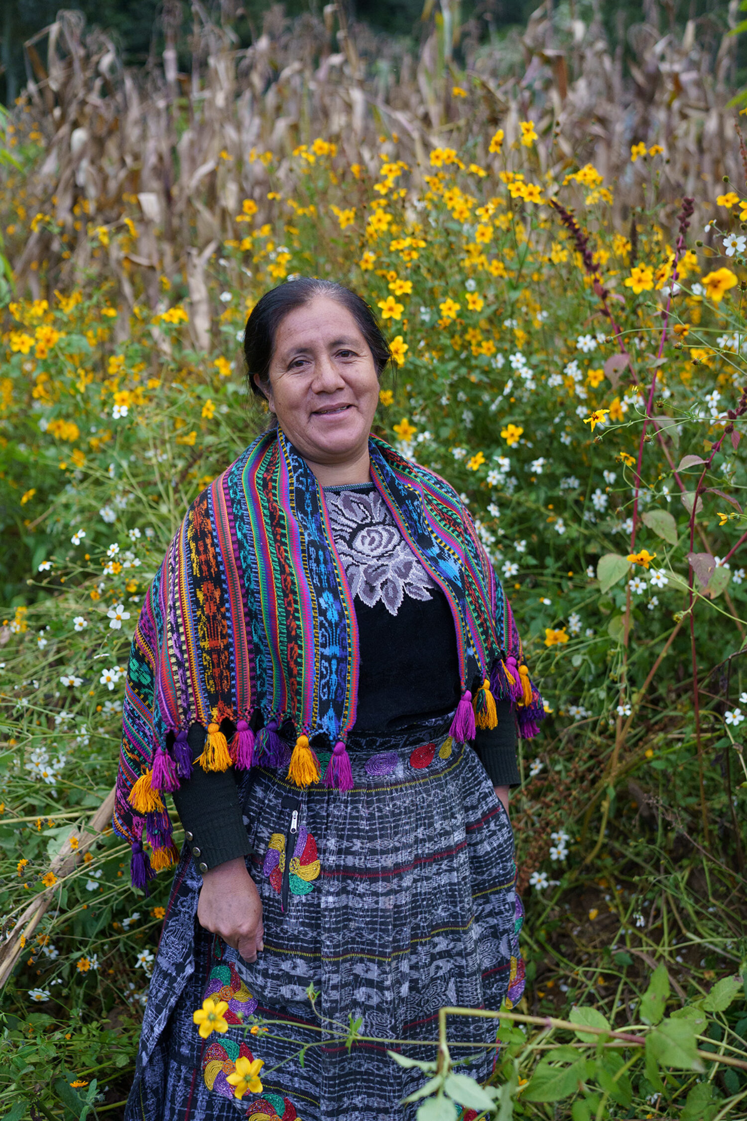 Circles of Hope: Reviving Indigenous Concepts of Mental Wellbeing in Guatemala