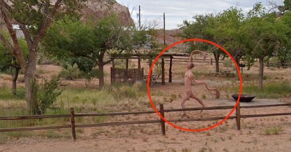 Mysterious “Nude” Figure Alarms Google Street View Users