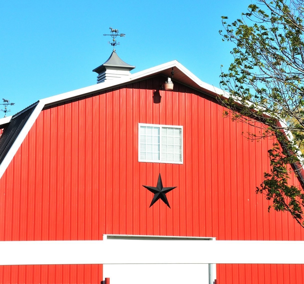 The Charming Ornaments on Barn Doors