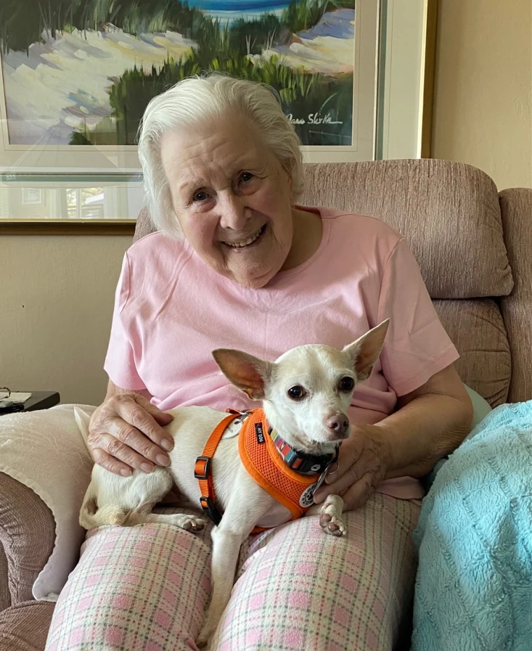 101-Year-Old Woman Finds Joy in Adopting a Toothless Chihuahua