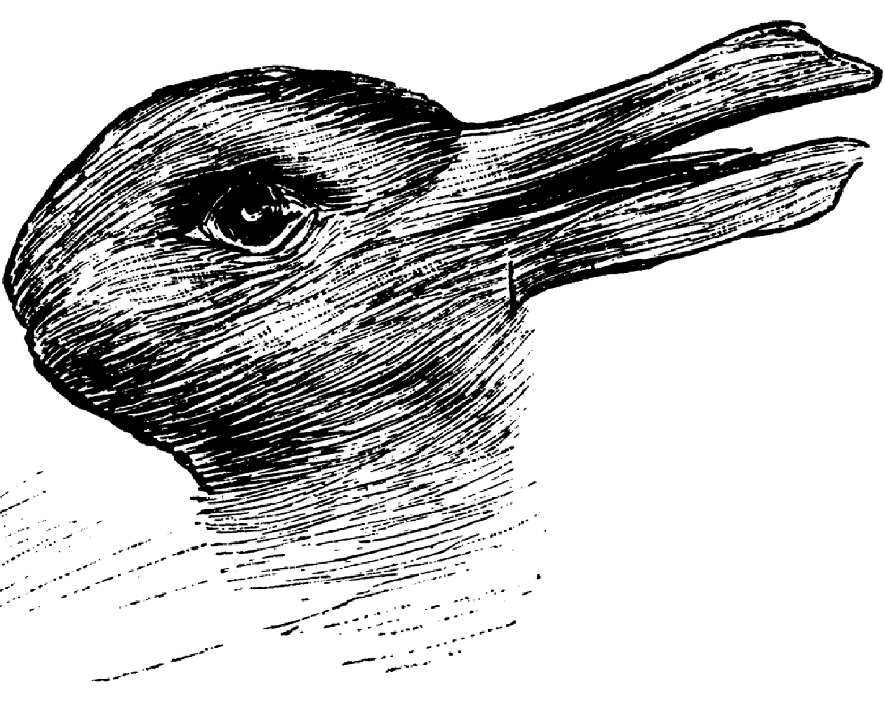 The Duck or Rabbit Illusion: A Test of Your Creativity