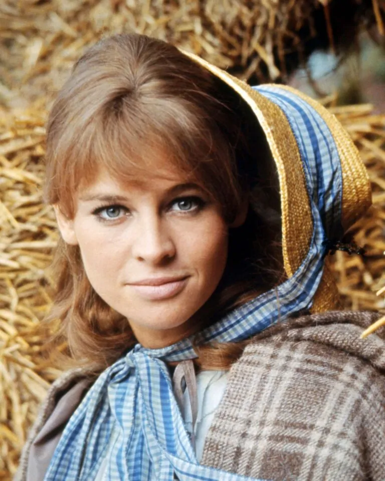 The Untold Story of Julie Christie: From Hollywood Stardom to a Quiet Life