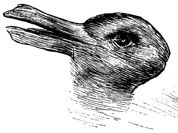 Duck or rabbit? The image that tells you how creative you are