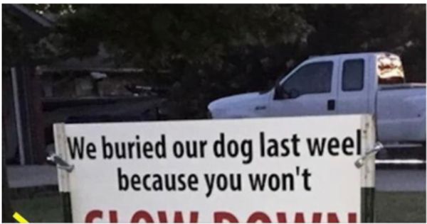 After Dog Gets Hit By Car, Brutal Sign Has Entire Neighborhood Talking