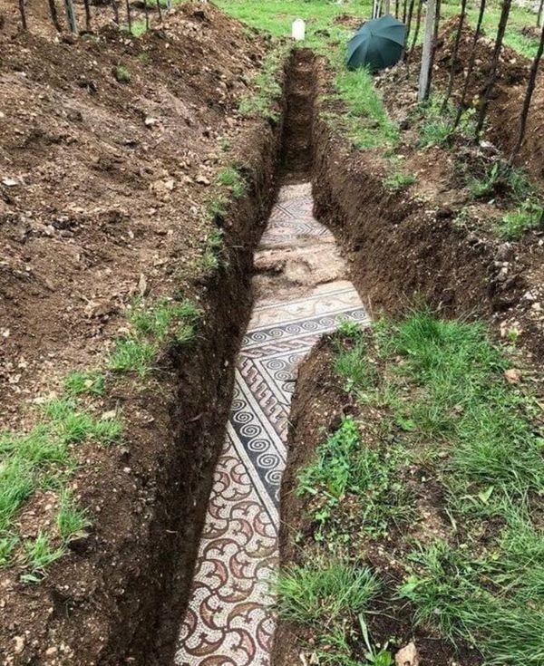 Ancient Roman Mosaic Unearthed Under Italian Vineyard