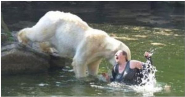 A Brave Encounter at the Berlin Zoo