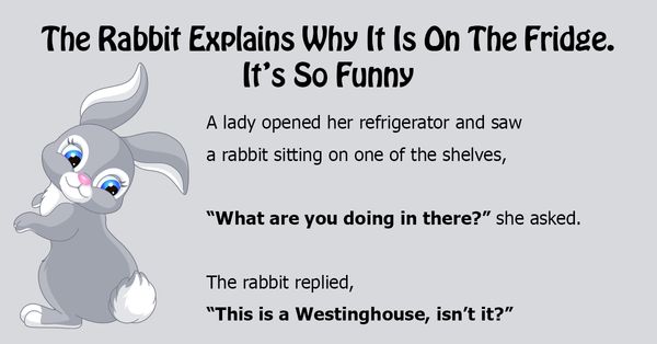 The Funny Rabbit on the Fridge