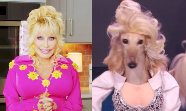 Dolly Parton’s Pet Gala: A Star-Studded Event for Animal Lovers