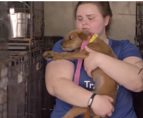 Happy families with their newly adopted dogs