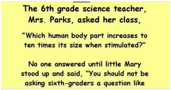 Mrs. Parks and the Peculiar Science Lesson