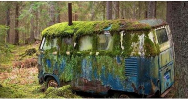 An Unexpected Surprise: A Dream House Inside a Rotten Bus!