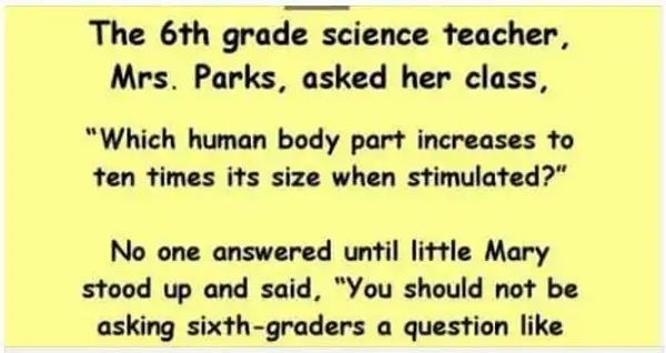 Mrs. Parks’ Unconventional Classroom Query Leads To A Hilarious Surprise Conclusion