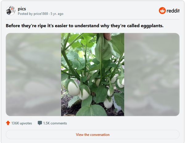 A Surprising History Behind This Unique Vegetable