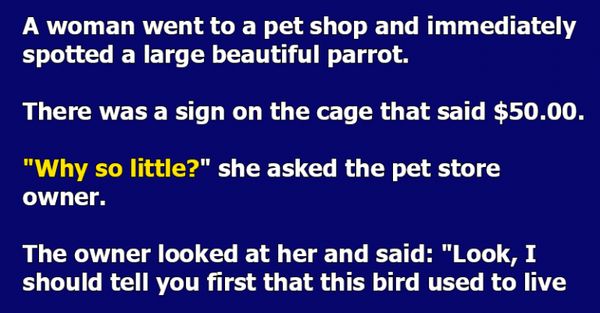 The Tale of the Parrot and the New House