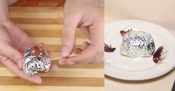 Get Rid of Cockroaches with Aluminum Foil