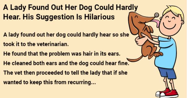 A Simple Solution for a Dog’s Hearing Problem