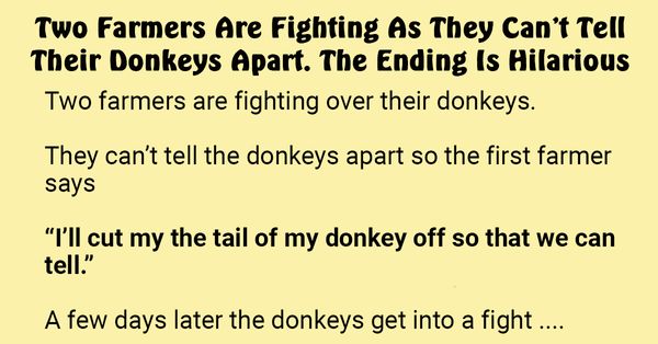 Two Farmers Are Fighting As They Can’t Tell Their Donkeys Apart. The Ending Is Hilarious