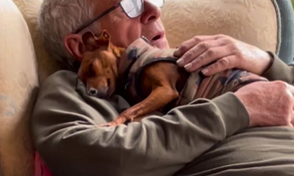 Dad Who Didn’t Want A Dog Is Caught Snoozing With His Furry Friend