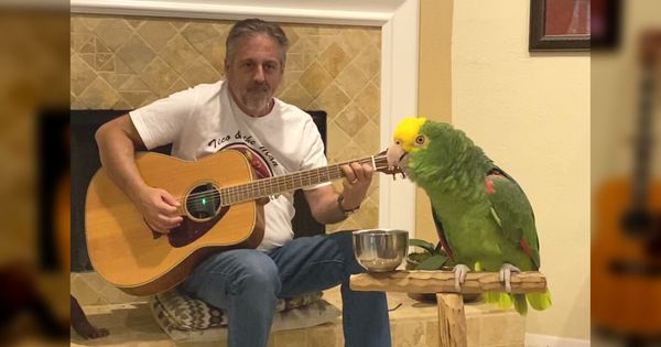 He Said His Parrot Could Sing My Favorite Song. I Didn’t Believe Him Until The Music Started