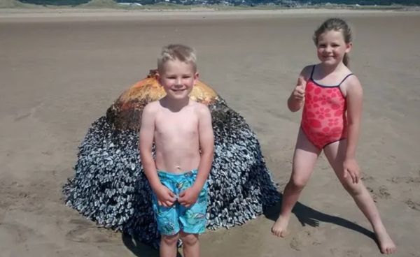 Dad Shares Innocent Photo Of His Son At Beach, Authorities Act Fast After Spotting Small Detail