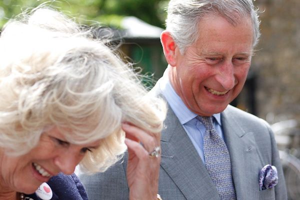 Queen Camilla 'Outraged' After Prince Harry's Visit To See The King