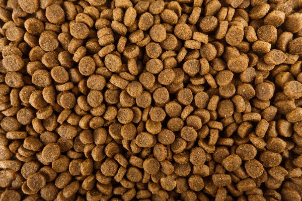 FDA Recalls Dog Food After Pet Deaths