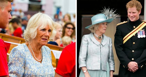 Queen Camilla and Prince Harry: Unraveling the Truth