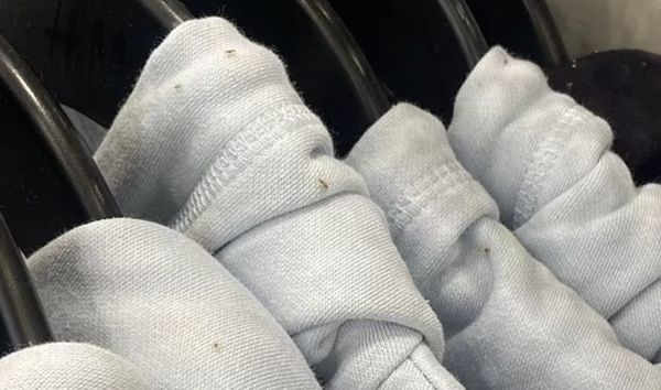 Retail Clothing Chain Has To Close Store After Bug Infestation Goes Viral