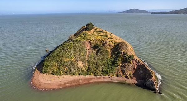 A Private Island in San Francisco Bay: Your Dream Retreat