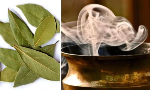 6 Reasons Why Burning Bay Leaves Will Change Your Life