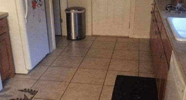 Can You Spot the Dog in This Kitchen?