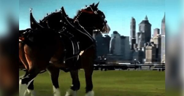 Remembering 9/11: A Touching Tribute by Budweiser