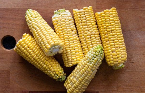 Best Corn