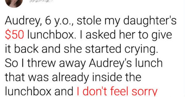 I Threw Away a 6-Year-Old Lunch After She Stole My Kid’s Lunchbox