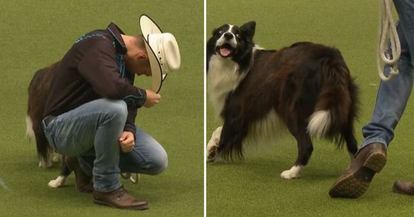 Everyone Was There For The Dog Show, But This Cowboy’s Performance Is What We’ll All Remember