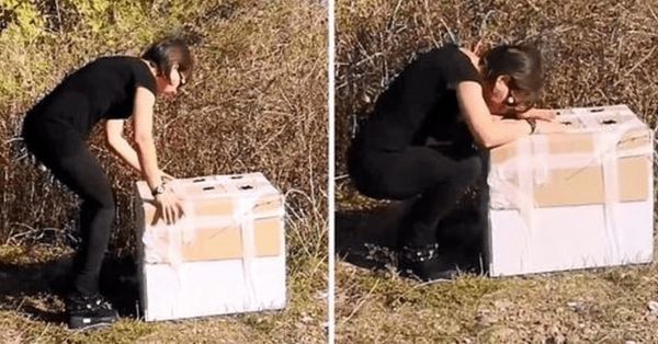 Woman Rescues Abandoned Puppies Found in Cardboard Box