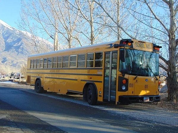 Teenager Dies in Tragic School Bus Accident