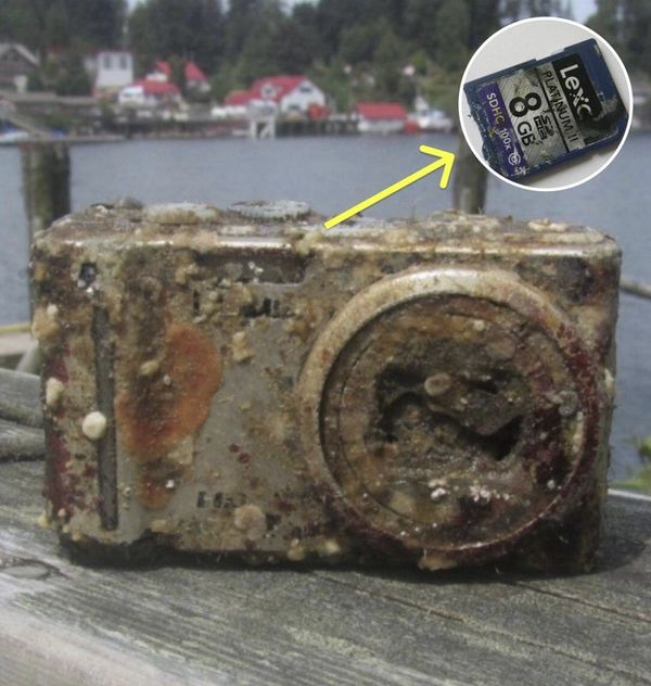 Diver Discovers Lost Camera, Reunites With Owner After Shipwreck