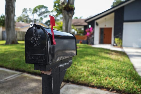 How to Keep Wasps Away from Your Mailbox