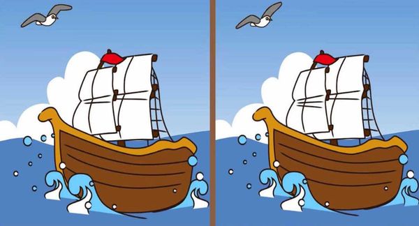 Spot the Difference: Challenge yourself to find the 3 differences in 10 seconds!