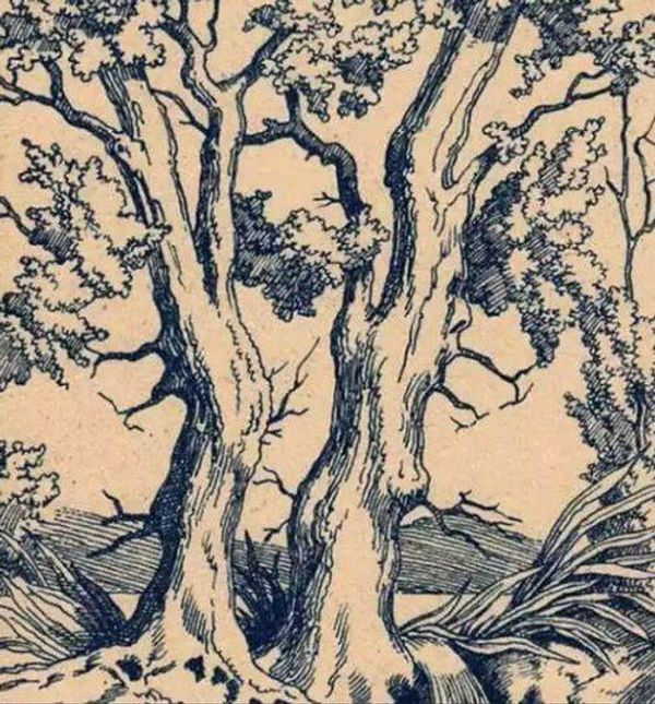 Can You Spot the Hidden Faces in This Tree? Challenge Your Friends!