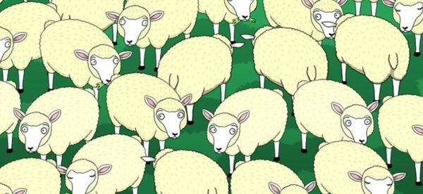 Can You Spot the Hidden Wolf among the Sheep?