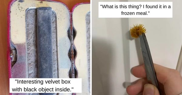 20 Weird Things That People Couldn’t Identify On Their Own