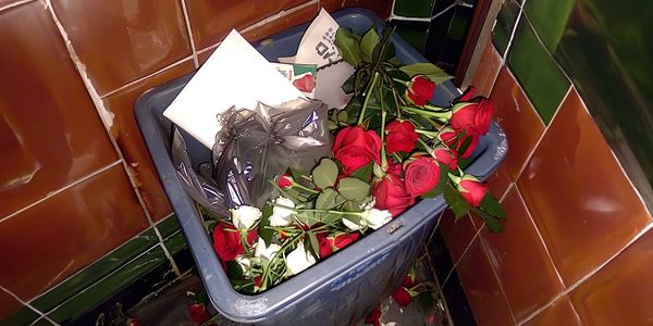 I Sent My Boyfriend Roses to His Workplace as a Sweet Surprise, but He Threw Them in My Face – I Taught Him a Good Lesson Later